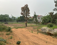 Bán đất rộng làm biệt thự nhà vườn tại Hữu Thủ, Kim Long, Tam Dương, Vĩnh Phúc. Lh: 0986934038