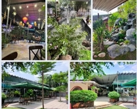 Cần sang  Quán café sân vườn, cần hợp tác kinh doanh ăn chia 3/7 hoặc sang 1 tỷ TL, quán cafe sân vườn, tổng diện tích 2500 m², tọa lạc tại trung tâm thị trấn củ Chi HCM