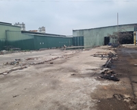 Cần cho thuê nhà xưởng diện tích 200m2 và sân bê tông trước mặt 1800m2 tại Cự Khê, Thanh Oai