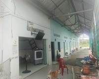 Bán nhà MT Nguyễn Kim Cương Xã Tân Thạnh Tây Hóc Môn, 3985m2, giá giảm còn 2x tỷ