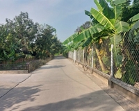 Chính chủ cho thuê đất vườn Bình Nhâm 26, P. Bình Nhâm, TP Thuận An, Bìn