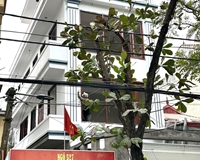 Chính chủ cho thuê nhà tại 529 Nguyễn Hoàng Tôn - Xuân Đỉnh, quận Bắc Từ Liêm, Hà Nội.