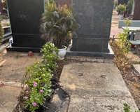 Chuyện nhượng 1 huyệt mộ đơn khu Phú Qúy tại Phúc An Viên Quận 9 