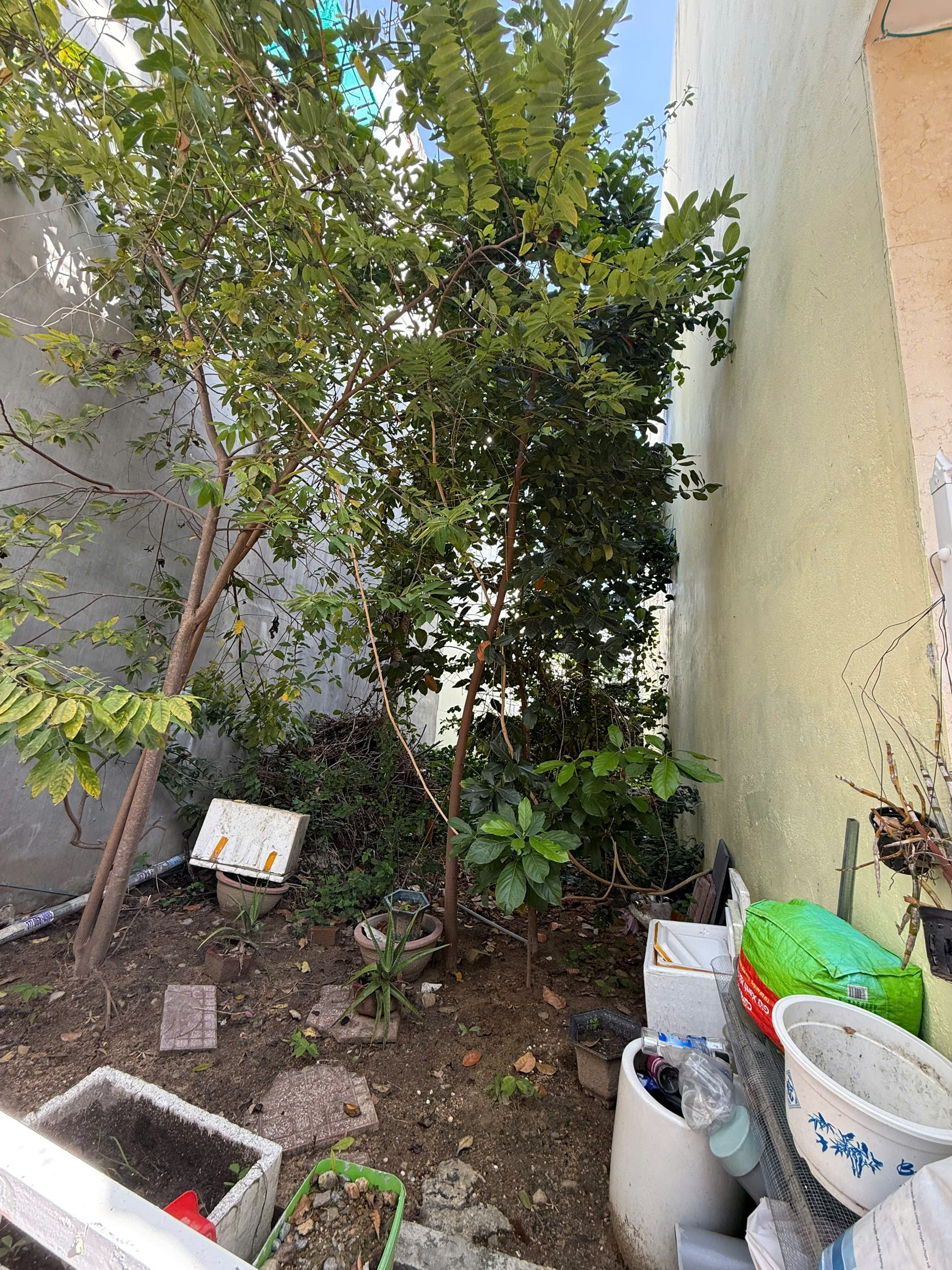 BÁN ĐẤT GẦN BIỂN PHƯỜNG BẮC NHA TRANG