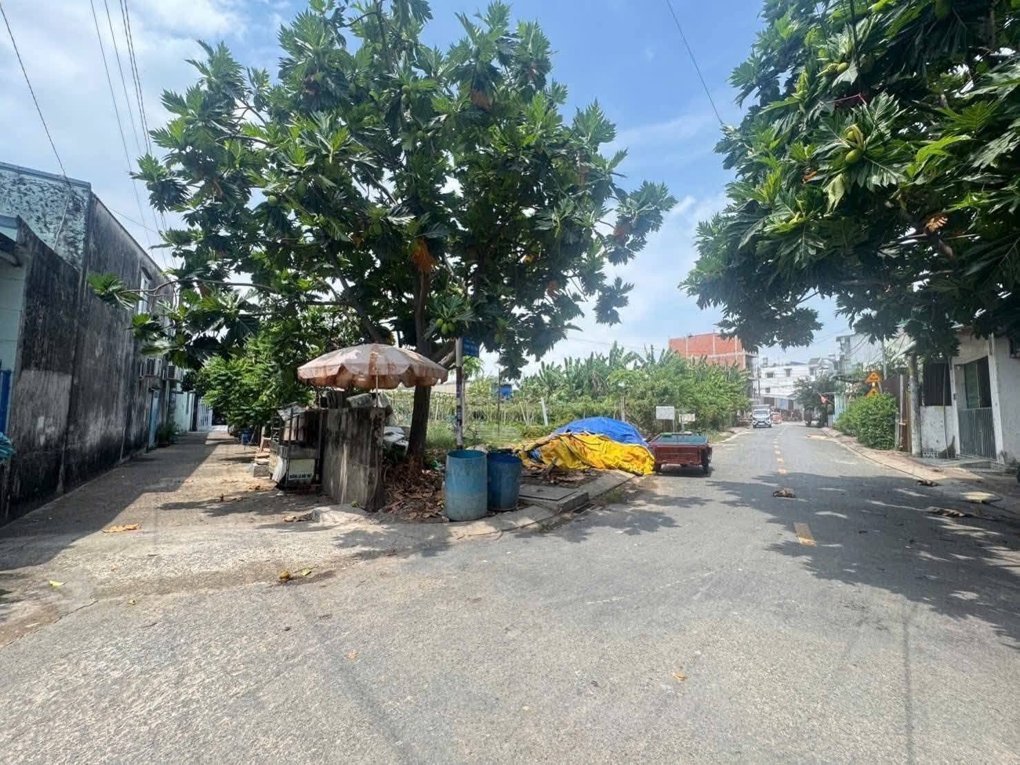 🌎 BÁN ĐẤT XÃ ĐÔNG THẠNH, HÓC MÔN – SỔ HỒNG RIÊNG – GIÁ TỐT