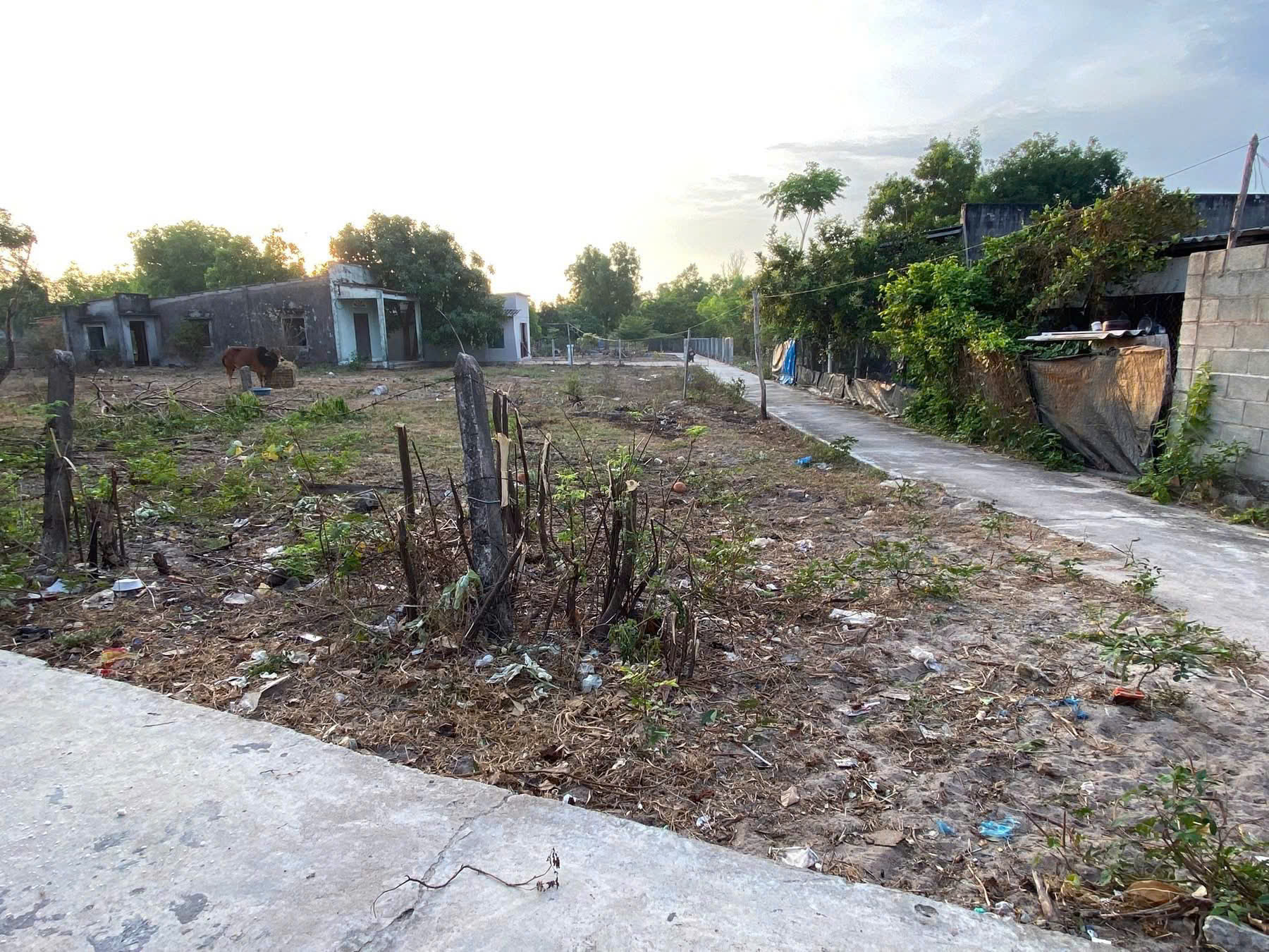 Bán đất Thổ cư hẻm Ngô Tất Tố, Phước Hội, LaGi gần Biển Cam Bình 1.3 tỷ