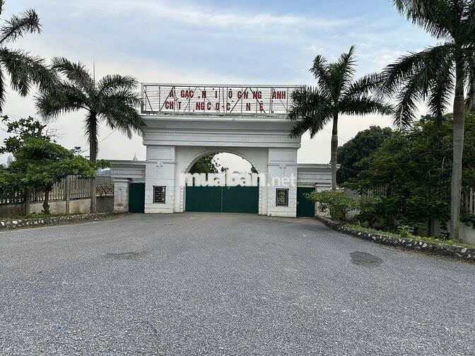 SANG NHƯỢNG - CHO THUÊ NHÀ MÁY GẠCH - ĐÔNG HƯNG - THÁI BÌNH