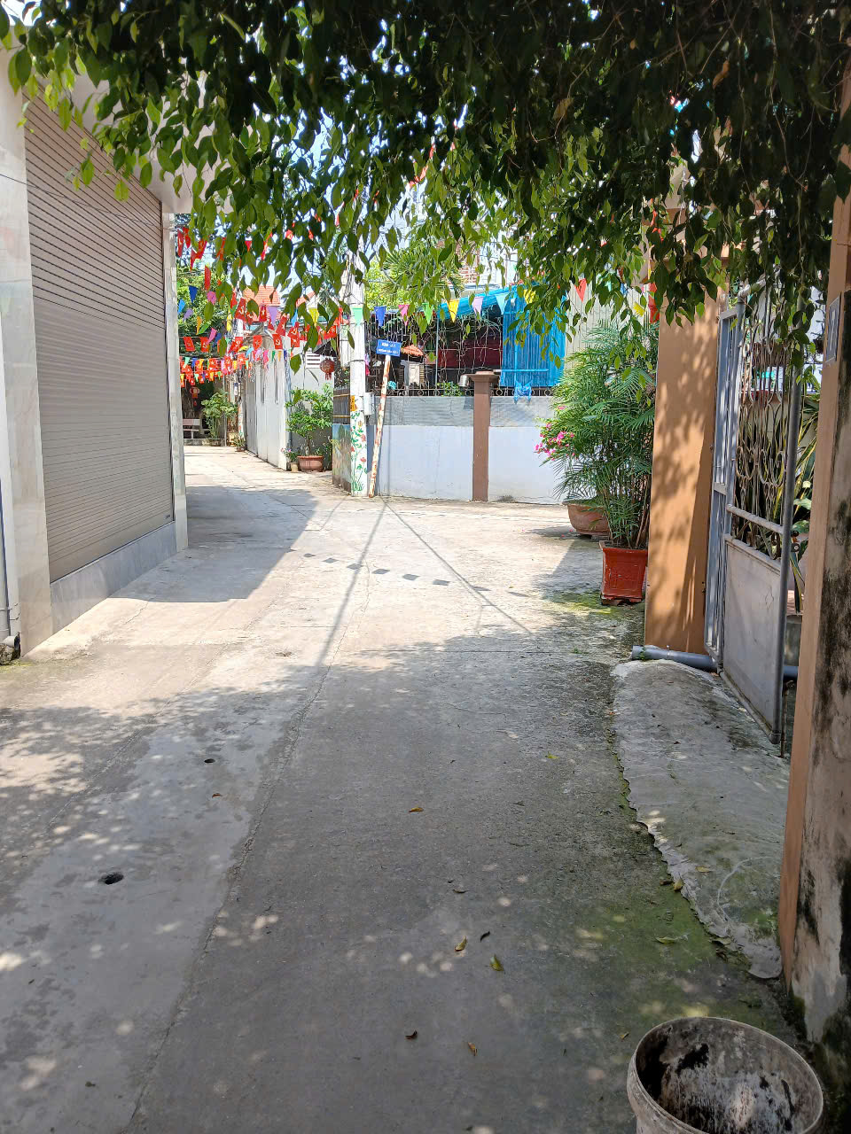 Cần bán 116,8m full thổ cư tại làng nghề phật thủ Đắc Sở, Hoài Đức, sát Vành đai 4, giá chỉ nhỉnh 6 tỷ.