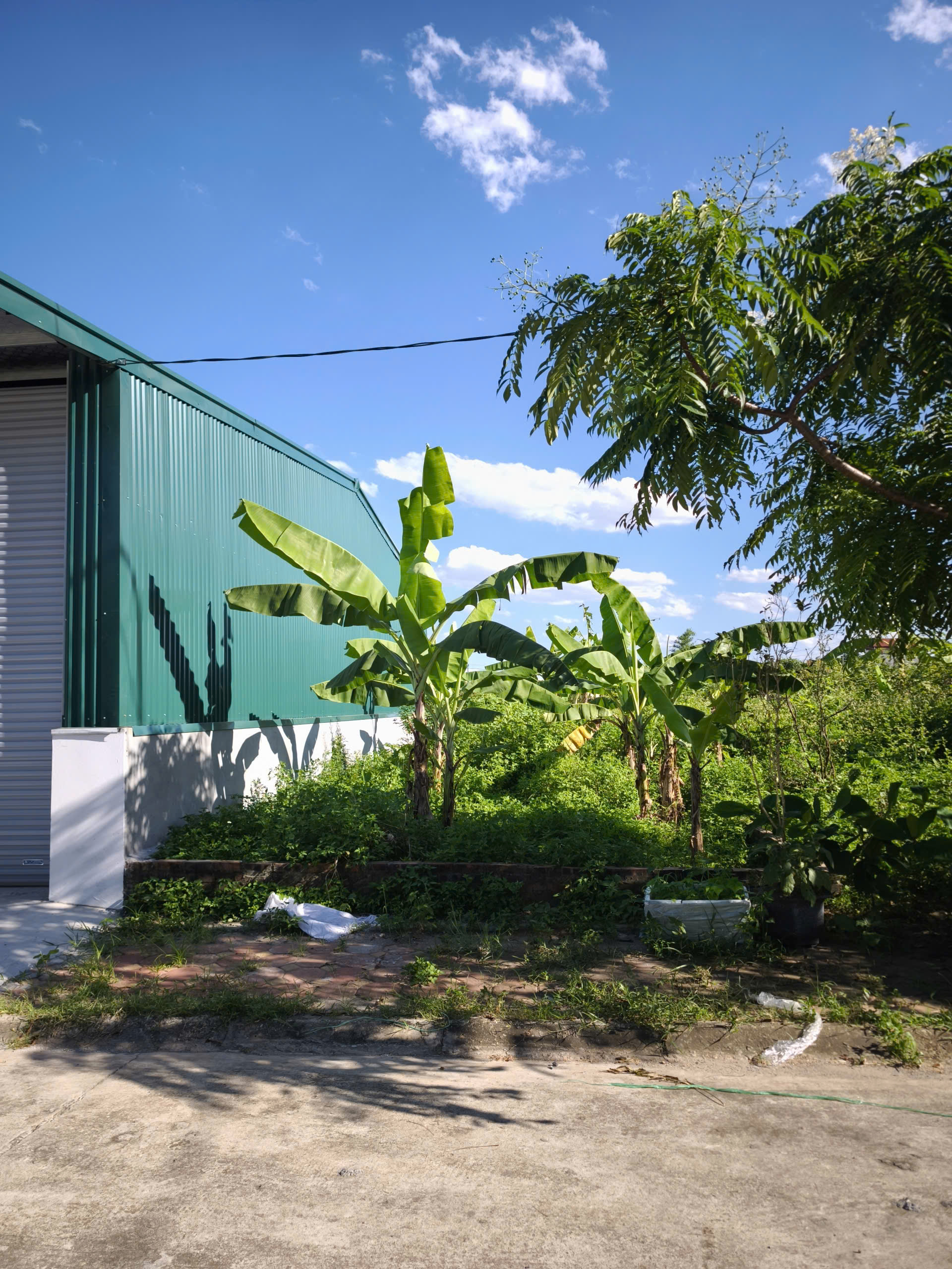 ĐẤT ĐẤU GIÁ 80m2 tại CÁN KHÊ - NGUYÊN KHÊ - ĐÔNG ANH - HÀ NỘI. GIÁ: 6,8 tỷ