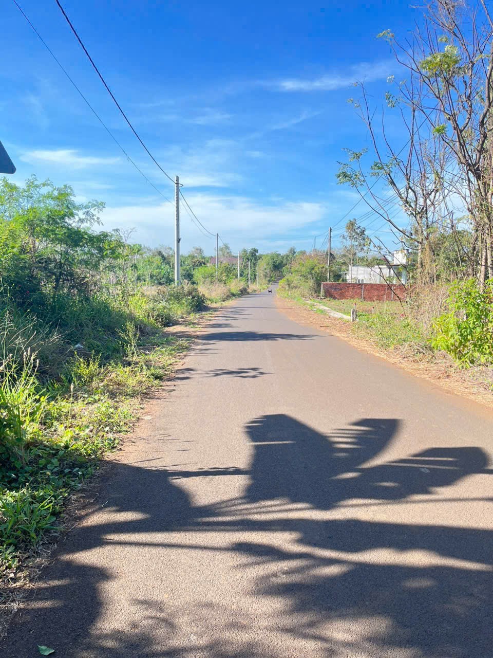 ĐẦU TƯ SINH LỜI – CHÍNH CHỦ CẦN BÁN LÔ ĐẤT Tại  THÔN PHÚ SƠN, XÃ ĐÁ BẠC, HUYỆN CHÂU ĐỨC, BÀ RỊA – VŨNG TÀU