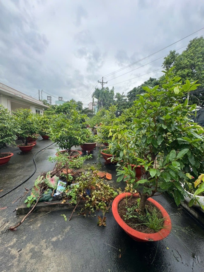 Bán đất Dĩ An 174m²,SHR đường nhựa 2 ô tô thông, gần BigC Go Dĩ An,giá đầu tư