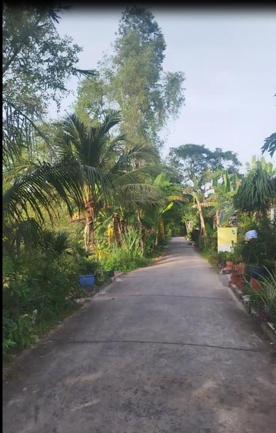 Bán đất Sổ Hồng 155m2 đường Cao Mên Trên, Tân Quy Tây, TP.Sa Đéc giá 1 tỷ 050 triệu.