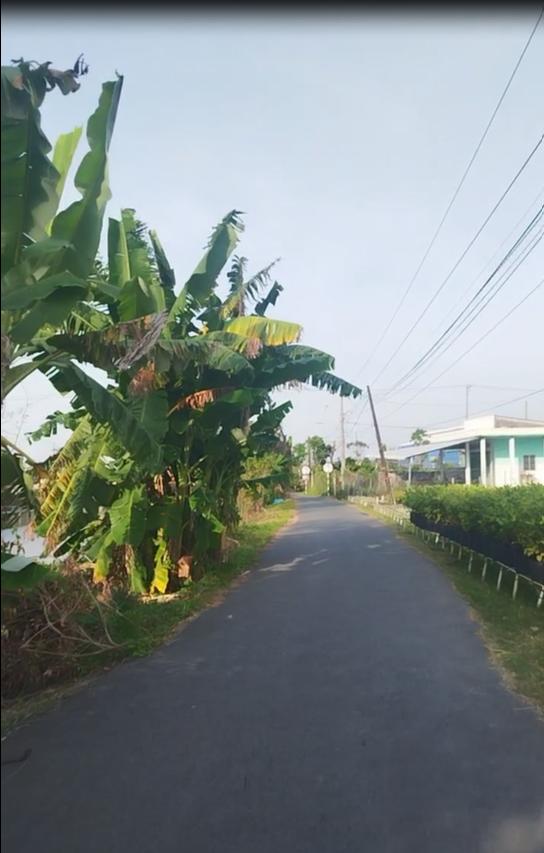 Bán đất Sổ Hồng 155m2 đường Cao Mên Trên, Tân Quy Tây, TP.Sa Đéc giá 1 tỷ 050 triệu.