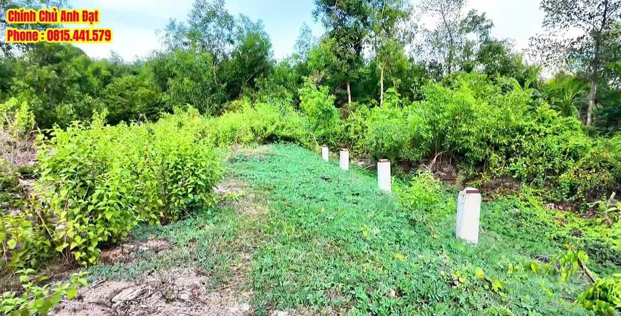 CƠ HỘI SỞ HỮU 750M² ĐẤT MẶT TIỀN DH9 – GIÁ CỰC TỐT-  xã Châu Thành (ngã tư Tam Hạp) - gần Nướng Ngói