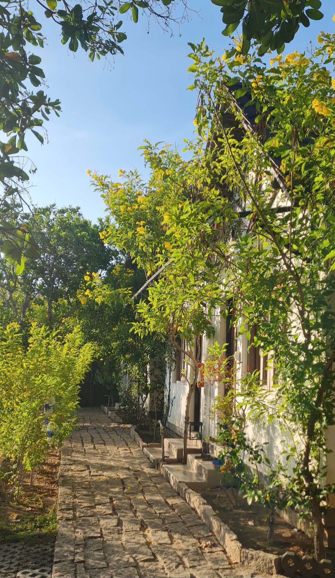 ĐẦU TƯ SINH LỜI–CHÍNH CHỦ CẦN BÁN VILLA ĐẢO HOA VÀNG TẠI Thôn Bình Lập , xã Nam Cam Ranh, Khánh Hòa