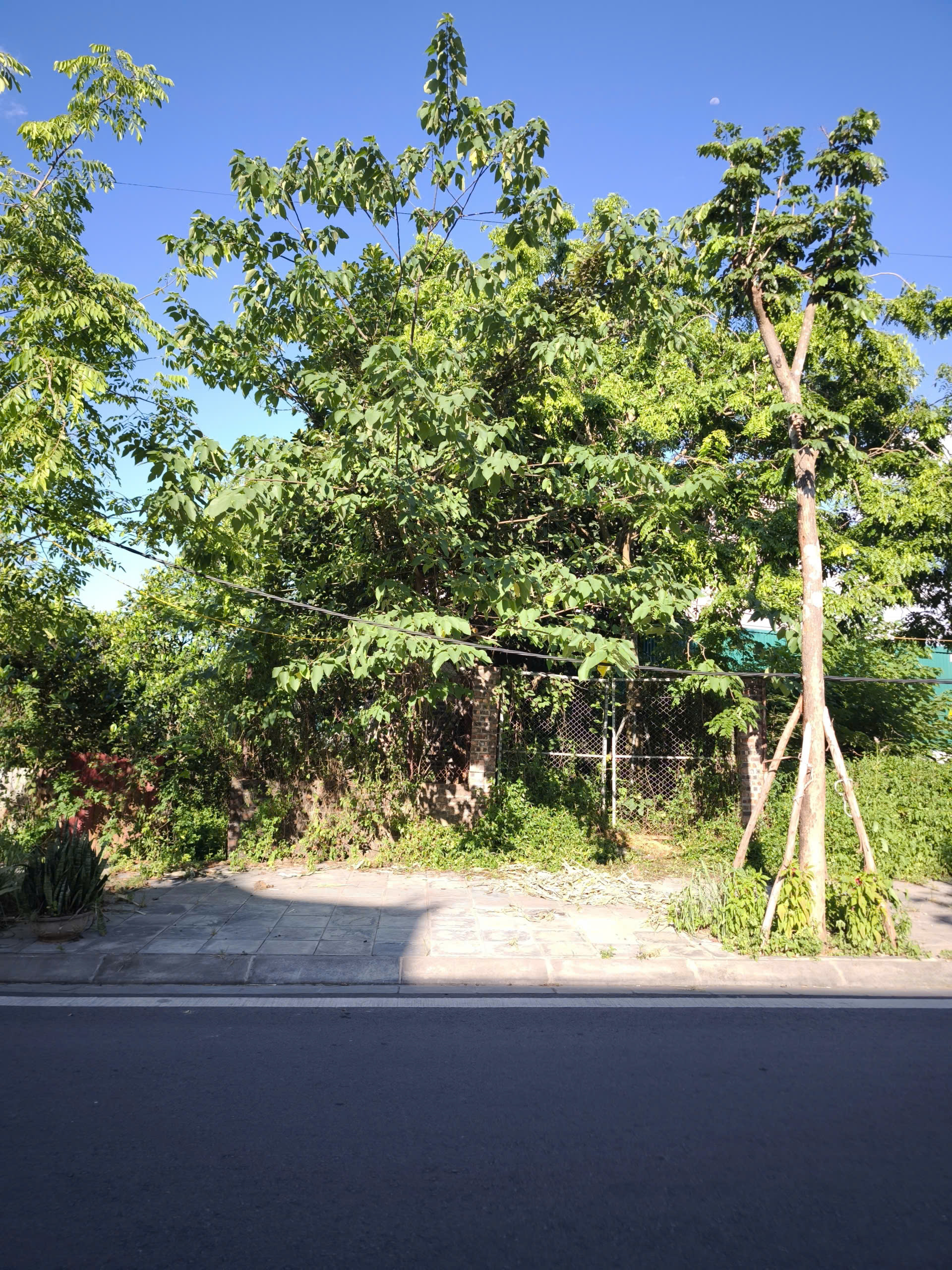 Bán Lô Góc 83m2 - Đất đấu giá X6 Cán Khê, Nguyên Khê, Đông Anh, Hà Nội. Giá: 9,49 tỷ