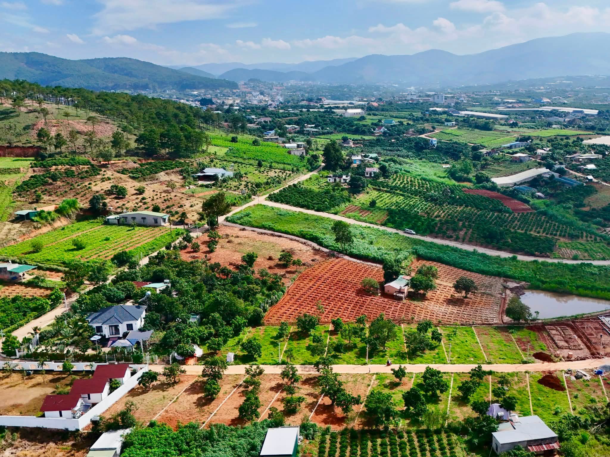 Bán Đất Ven Đà Lạt 322m² Ngang 12m – Thổ Cư 259m², Hạ Tầng Hoàn Thiện, Sẵn Sàng Xây Dựng