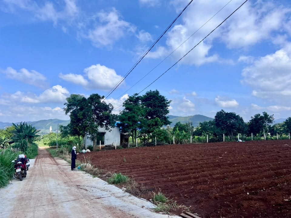 Bán Đất Nam Ban 502m² Thổ Cư 200m² – Sở Hữu View Toàn Cảnh Nam Ban, Đón Trọn Giá Trị Sống Ven Đà Lạ