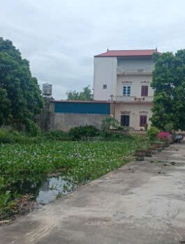 Chính chủ bán đất ở đô thị 240m2 – 2 mặt tiền tại Xã Nghĩa Đạo, Thuận Thành, Bắc Ninh – Mr.Hữu 0913093312