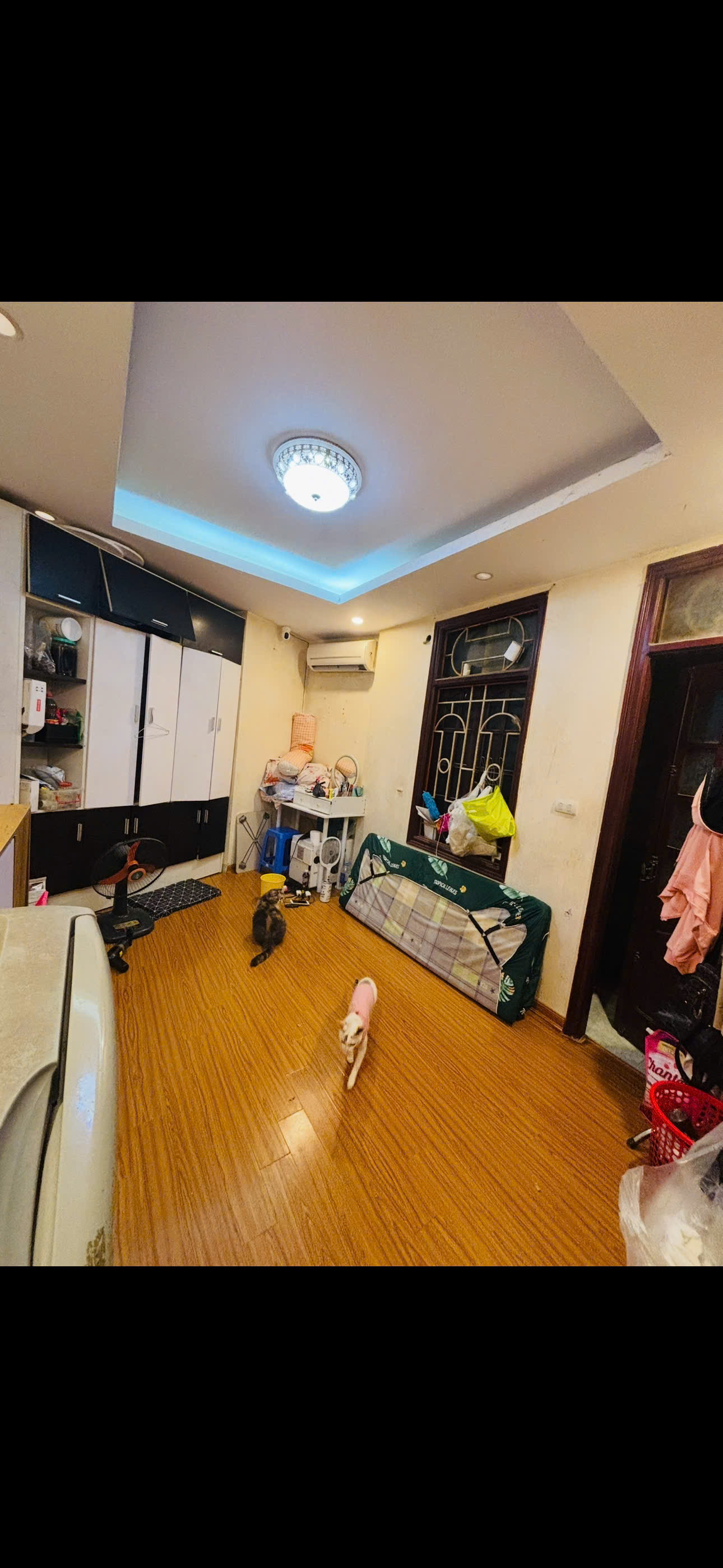 MÌNH CẦN TÌM 1 NỮ Ở GHÉP PHÒNG RỘNG 20M2 TẠI KHU VỰC ĐỘI CẤN, PHƯỜNG NGỌC HÀ, QUẬN BA ĐÌNH, HÀ NỘI