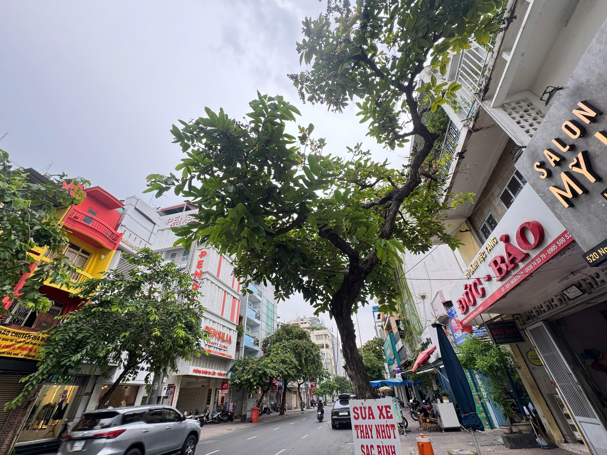 BÁN NHÀ 3 TẦNG - MẶT TIỀN KINH DOANH Đ. NGUYẼN ĐÌNH CHIỂU, Q.3 - DÒNG TIỀN THUÊ 28TR/TH - HIẾM CHỈ 15TY