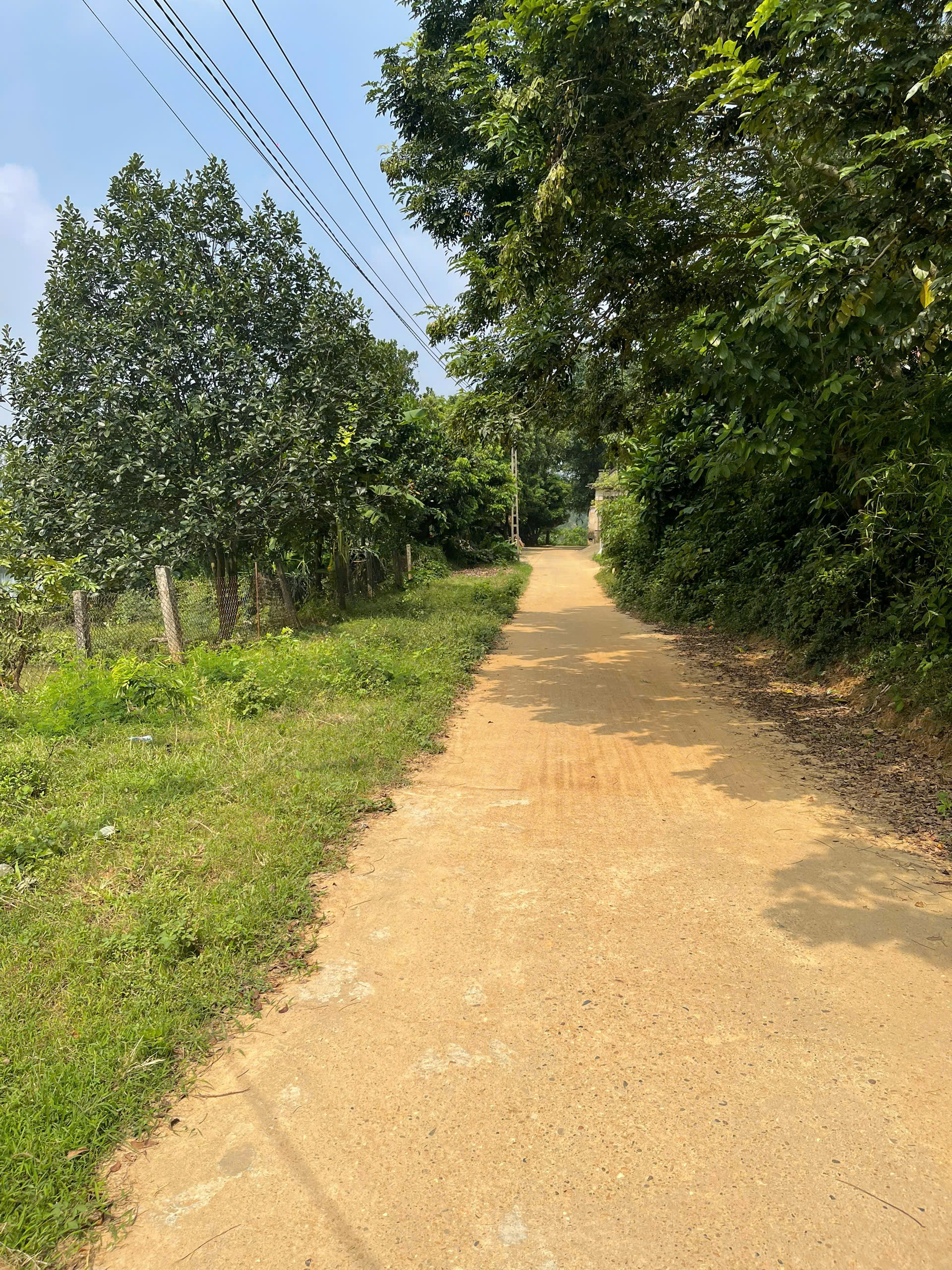 ĐẤT PHƯỢNG LÂU – VIEW ĐẦM SIÊU ĐẸP – ĐƯỜNG 2 Ô TÔ TRÁNH NHAU
