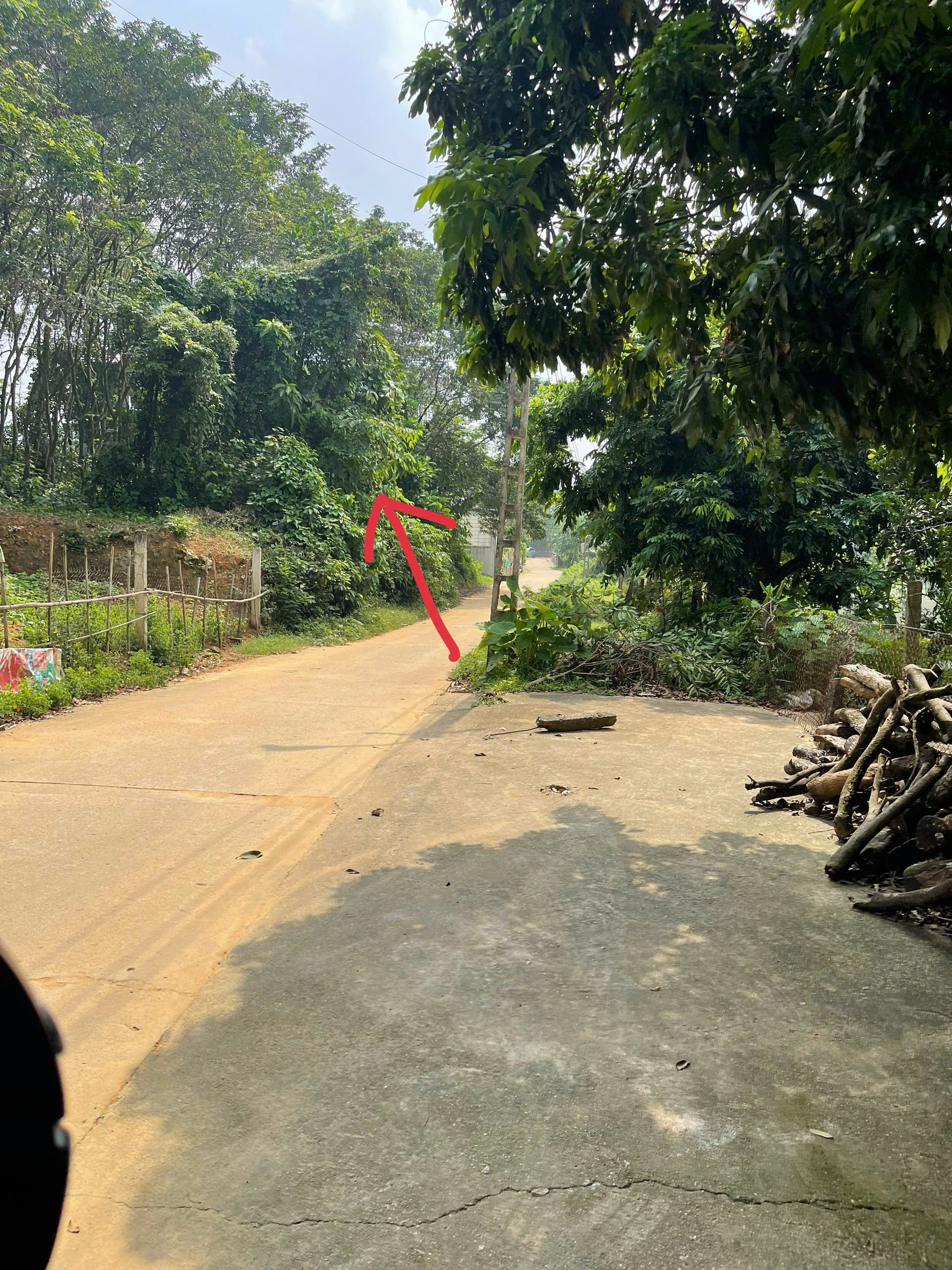 ĐẤT PHƯỢNG LÂU – VIEW ĐẦM SIÊU ĐẸP – ĐƯỜNG 2 Ô TÔ TRÁNH NHAU