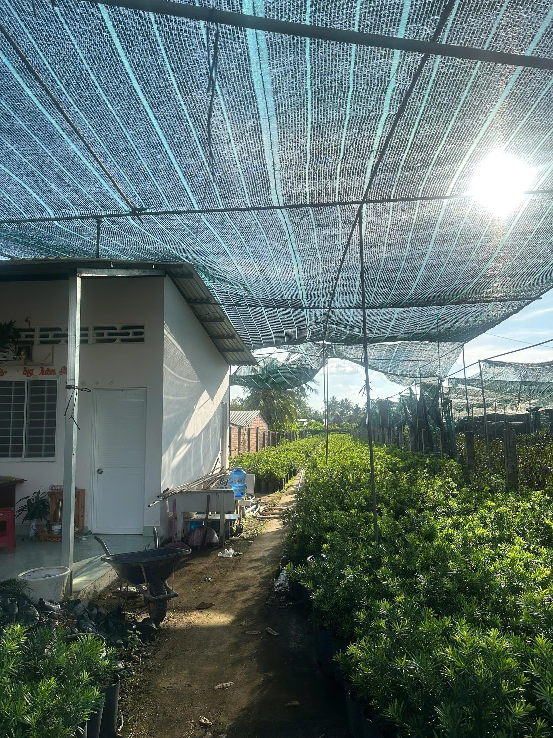 BÁN GẤP 631M² MẶT TIỀN QUỐC LỘ 57 – VỊ TRÍ ĐẸP, GIÁ CHỈ 2,8 TỶ