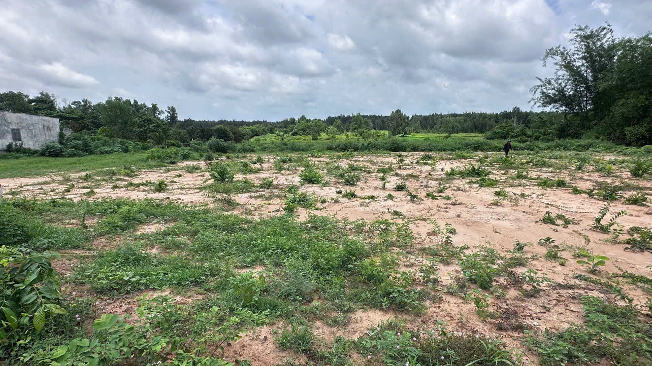 Bán đất vườn 1200m2, mặt tiền đường nhánh thông ra đường Cây Trôm - Mỹ khánh. Giá 2 tỷ 1 Có hỗ trợ 