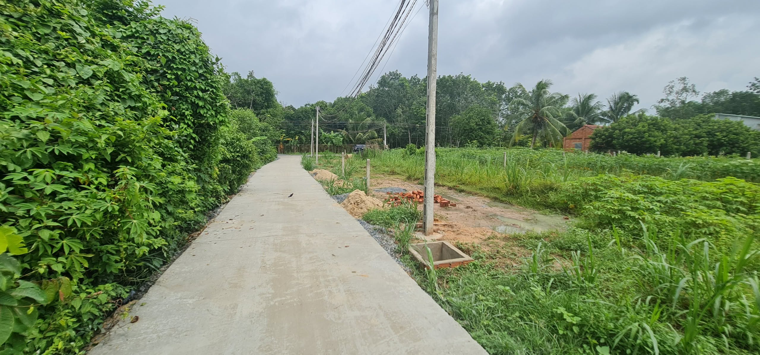 Chính chủ bán đất full thổ cư tây ninh – sát kcn hiệp thạnh 576 ha