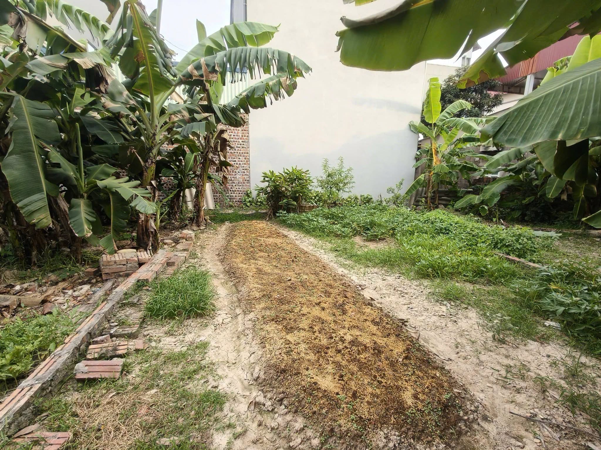 Với 2.x nhỏ tỷ, 45m2, mt4.5m, hiếm, Nguyên Khê, Đông Anh, gần ô tô.