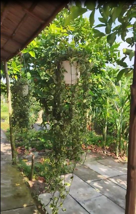 Bán Đất Thổ Cư 864m2 Sổ Hồng Nguyễn An Ninh, Tân Quy Đông, Sa Đéc. Giá 2.5 Tỷ.