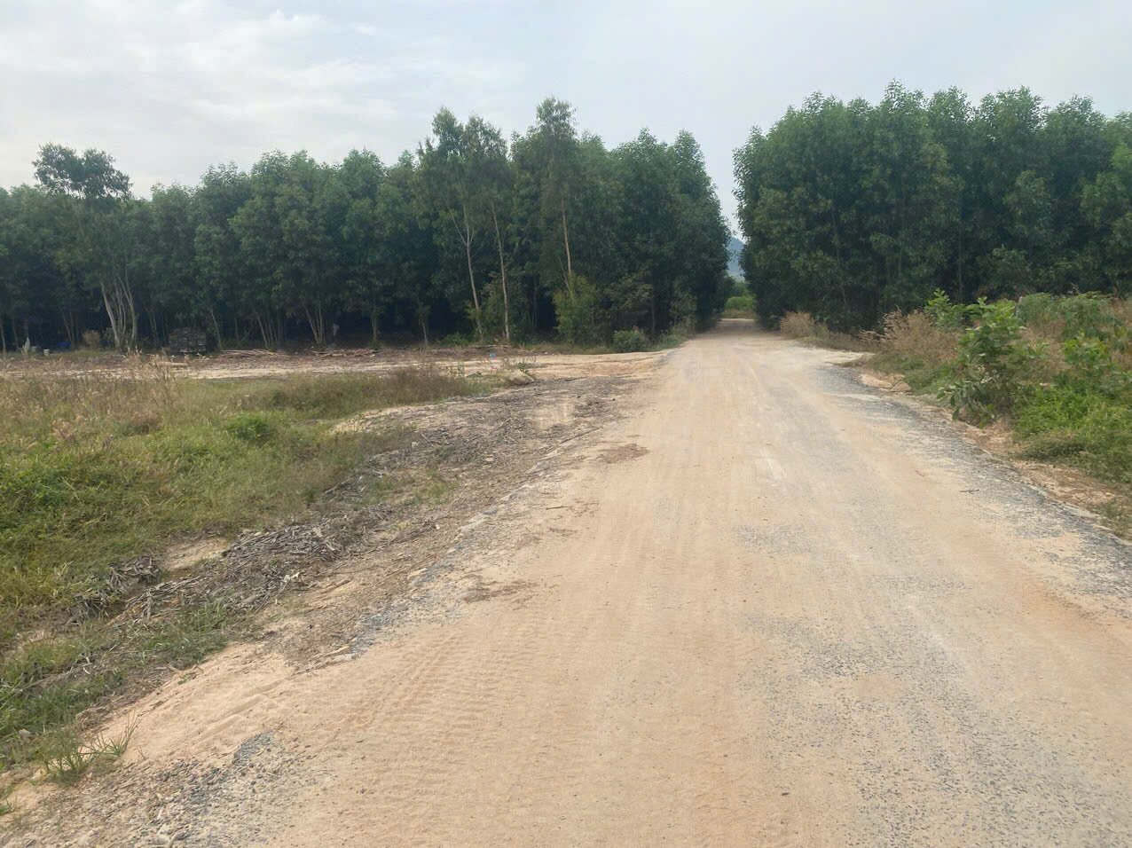 Bán 2000m2 đất mặt tiền Lê Đức Thọ, Lagi giá ngộp 800 triệu sổ riêng-2