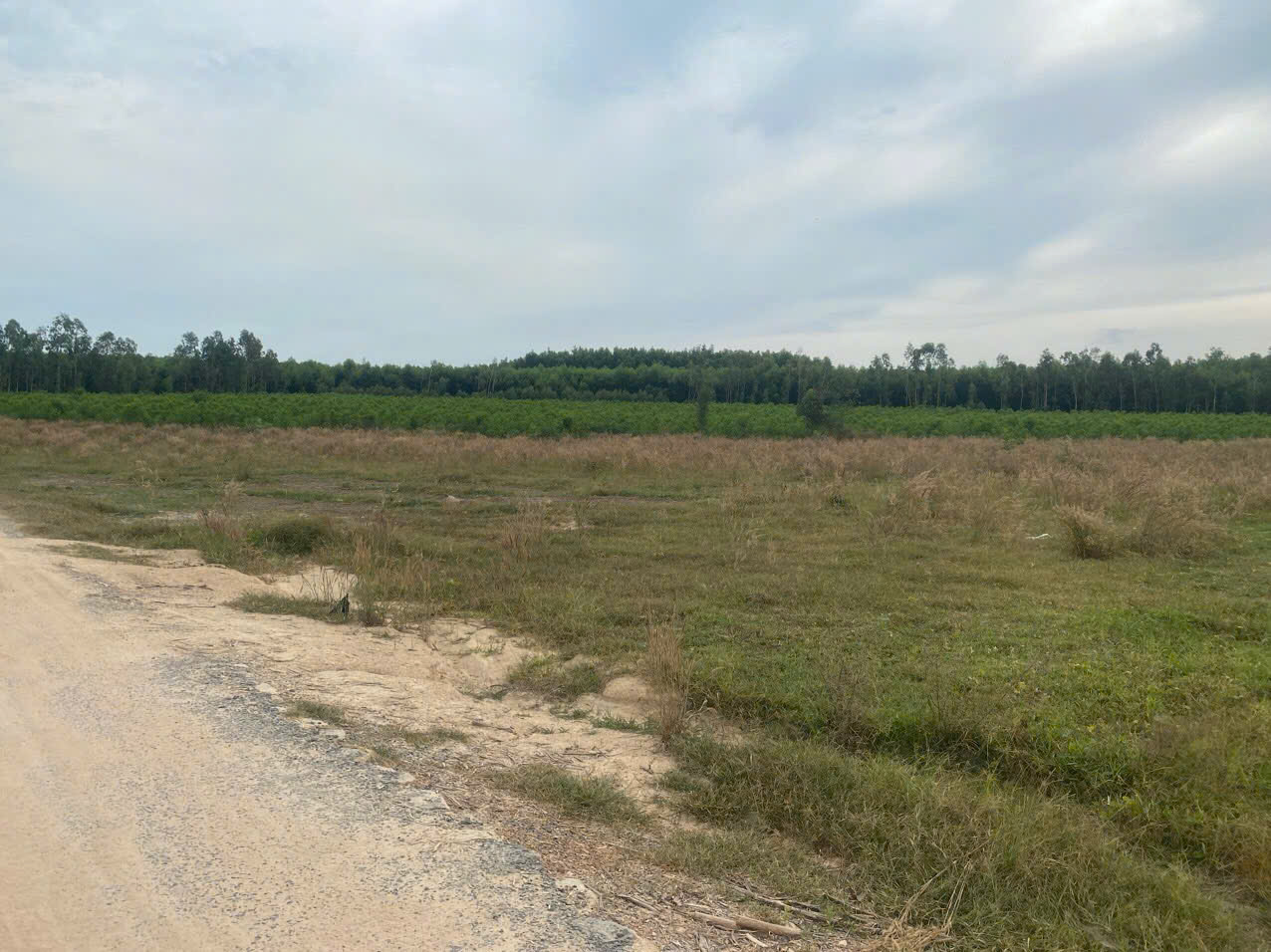 Bán 2000m2 đất mặt tiền Lê Đức Thọ, Lagi giá ngộp 800 triệu sổ riêng-3