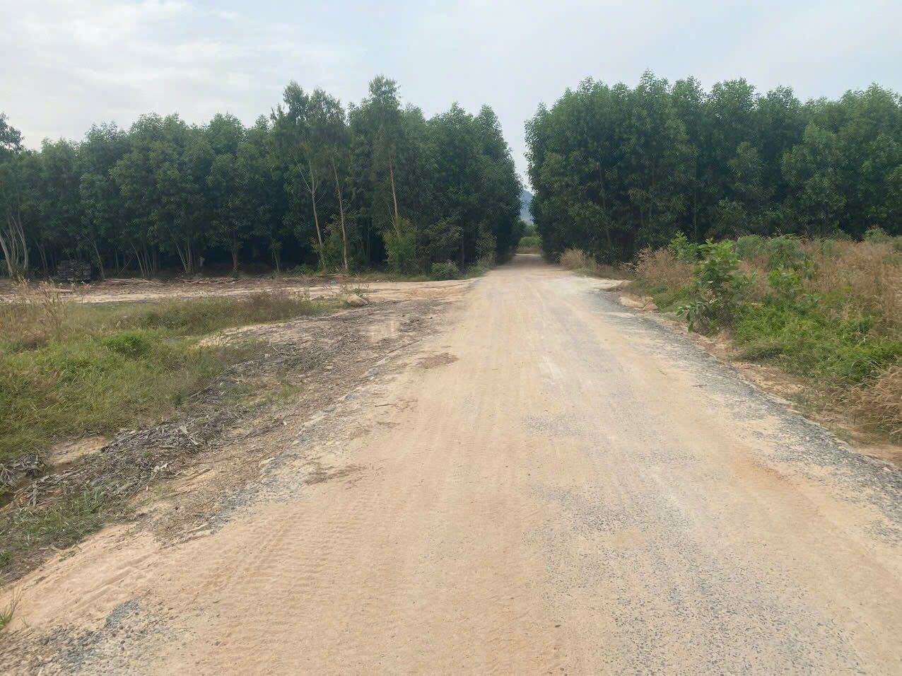 Bán 2000m2 đất mặt tiền Lê Đức Thọ, Lagi giá ngộp 800 triệu sổ riêng-4
