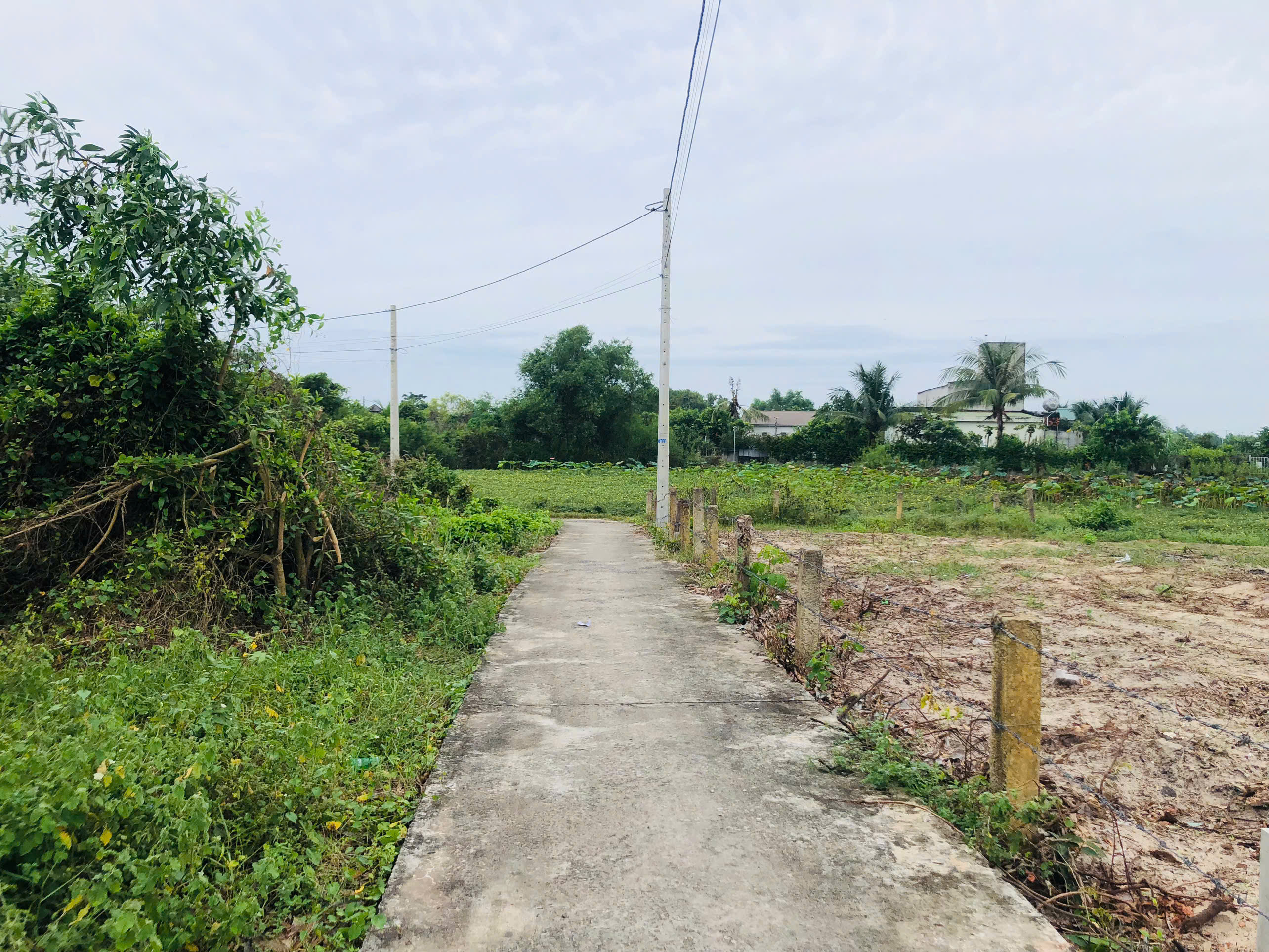 Bán 288m2 đất Thổ cư Hẻm Lê Minh Công, Tân Phước, LaGi giá ngộp 1 tỷ