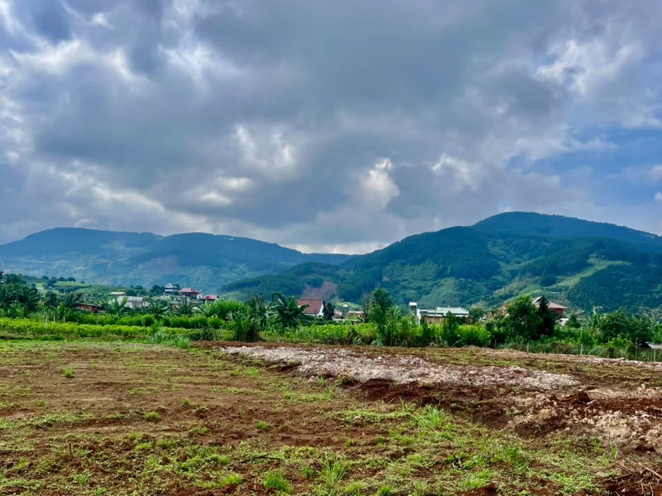 Bán Đất Ven Đà Lạt 466m² Thổ Cư 100m² – View Thoáng, Thế Đất Đẹp, Giá Chỉ 890 Triệu