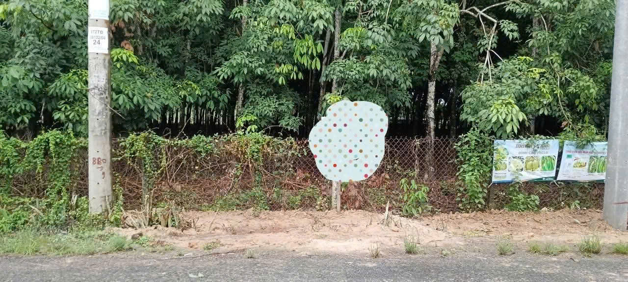 ĐẦU TƯ LÀ SINH LỜI - Chính Chủ Cần Bán Nhanh Lô Đất Ấp Phước An, xã Phước Thạnh, Tỉnh Tây Ninh.