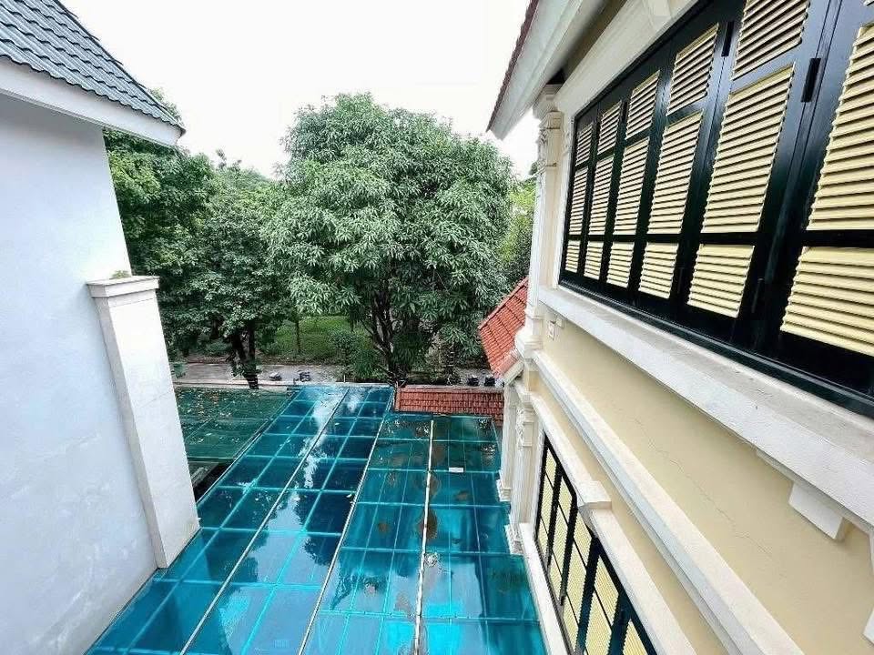 🏡 BIỆT THỰ SÂN VƯỜN ĐƯỜNG ĐÀ NẴNG - TRUNG TÂM TP HẢI PHÒNG-2