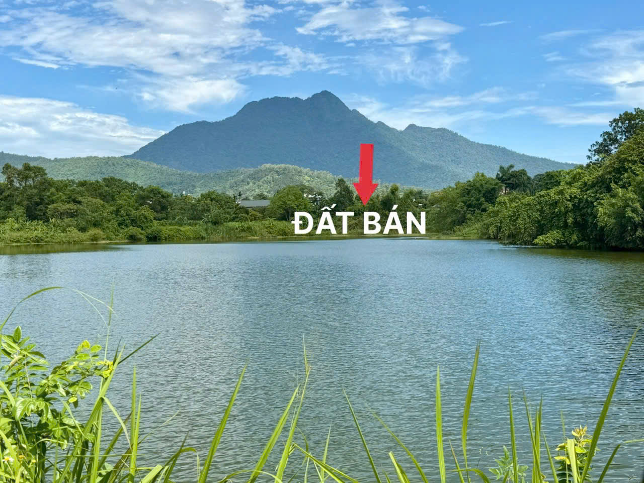 🌿 Bán lô đất bám hồ hiếm – Yên Bài, Ba Vì