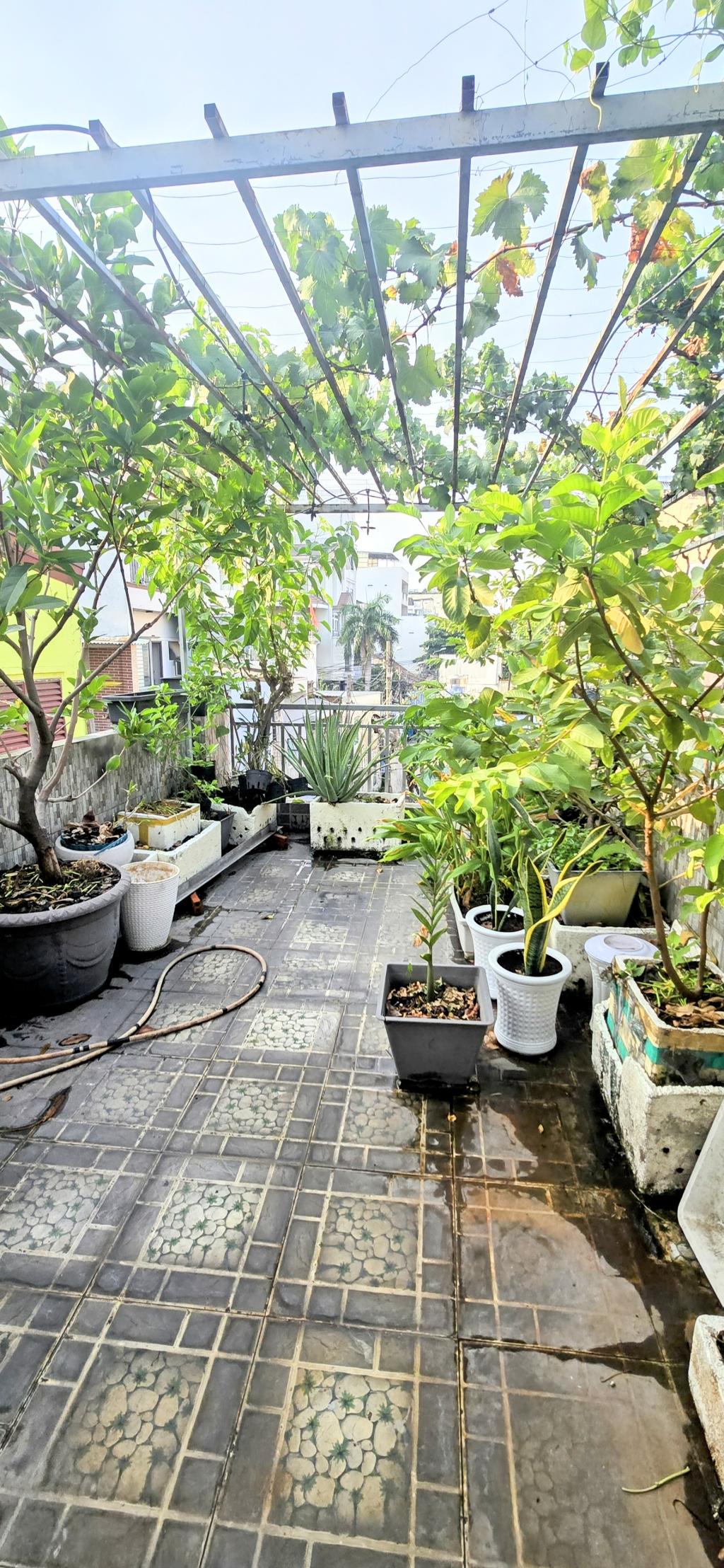 GIẢM SỐC 1 TỶ – CHỈ CÒN 6.99 TỶ KHUÔNG VIỆT – HXH TỚI NHÀ – 82M² – 3 TẦNG – GIÁP Q.11 & TÂN BÌNH-3