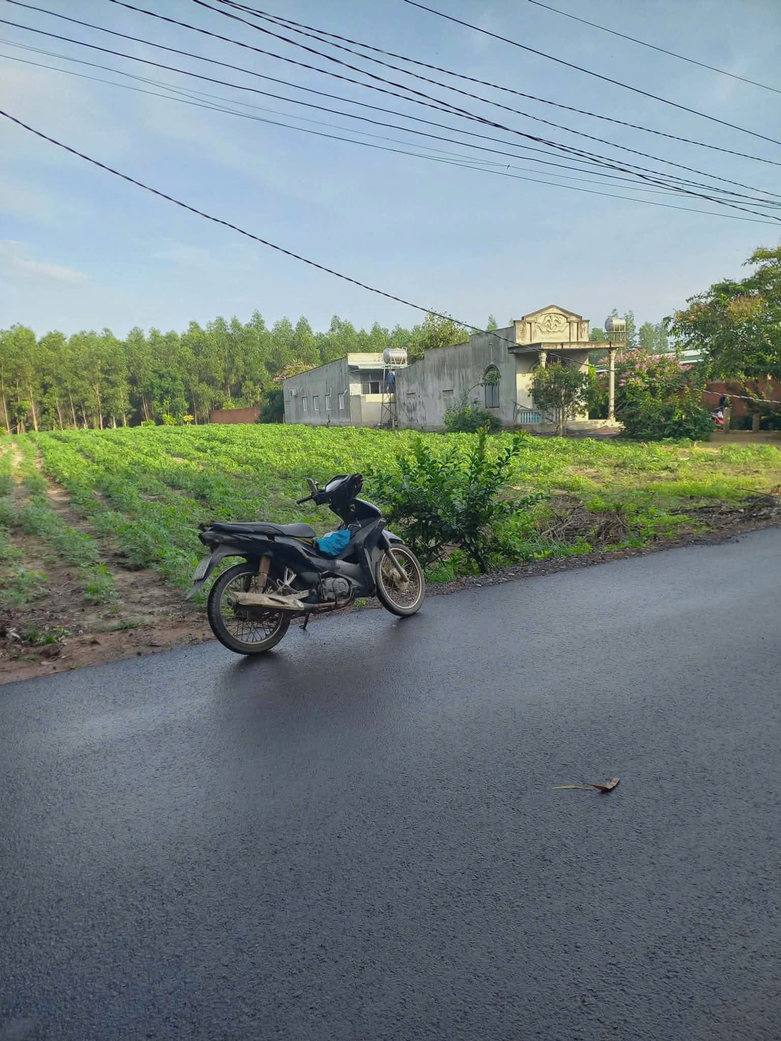 CHÍNH CHỦ CẦN BÁN LÔ ĐẤT THỔ CƯ 1976m2 ĐẦU TƯ SINH LỜI -1