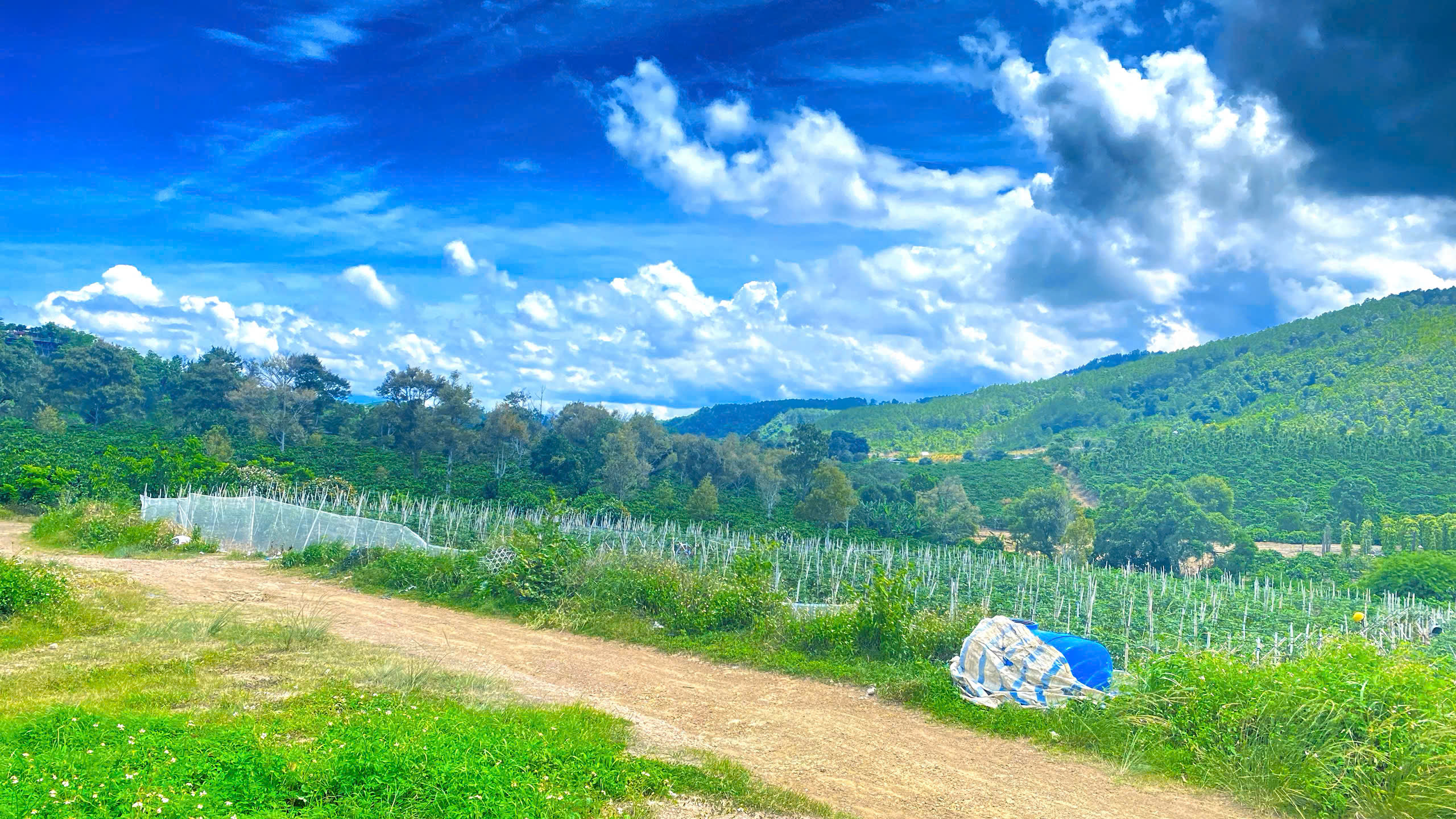 1,3 ha ( 13.000m2 ) mà giá chỉ 3,5 tỷ - phú hội cũ, đức trọng, lâm đồng