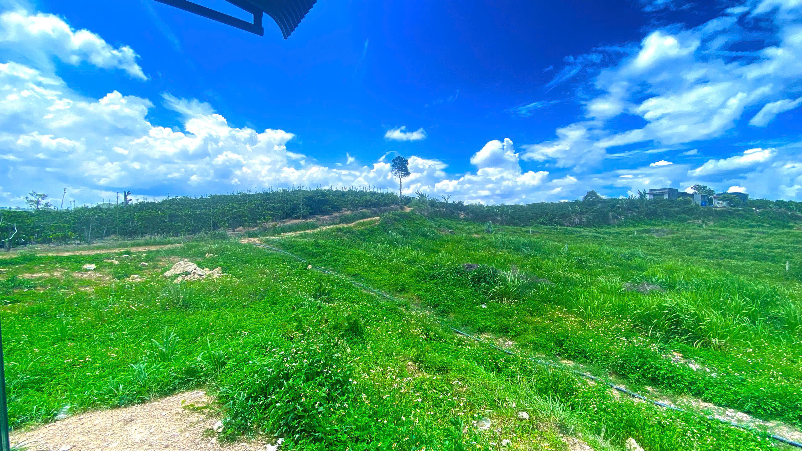 1,3 ha ( 13.000m2 ) mà giá chỉ 3,5 tỷ - phú hội cũ, đức trọng, lâm đồng-1