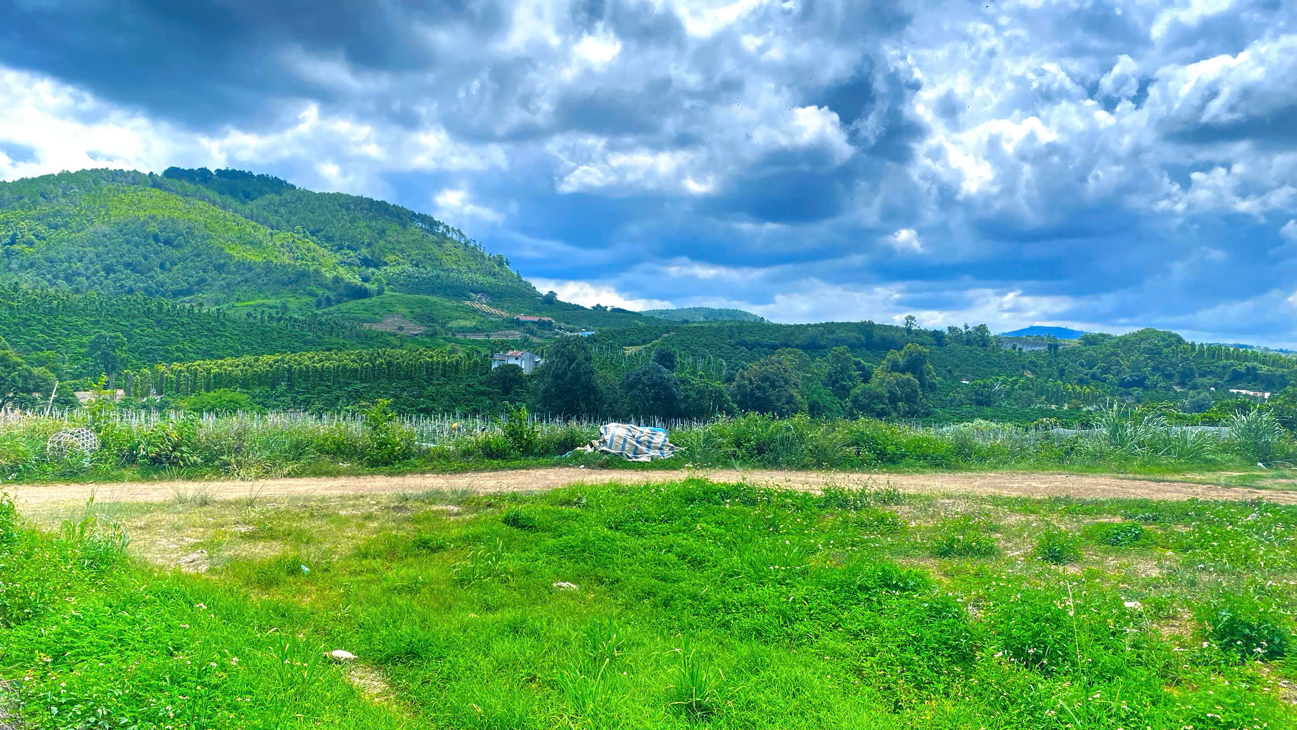 1,3 ha ( 13.000m2 ) mà giá chỉ 3,5 tỷ - phú hội cũ, đức trọng, lâm đồng-3