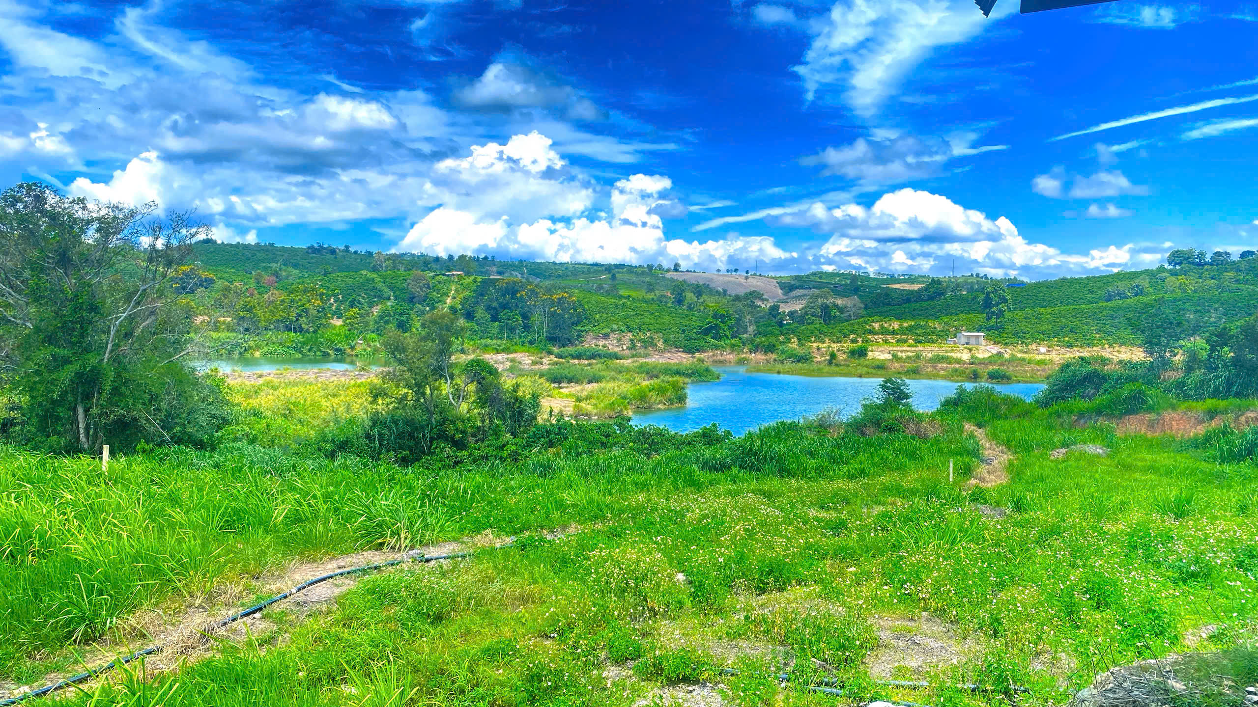 1,3 ha ( 13.000m2 ) mà giá chỉ 3,5 tỷ - phú hội cũ, đức trọng, lâm đồng-5