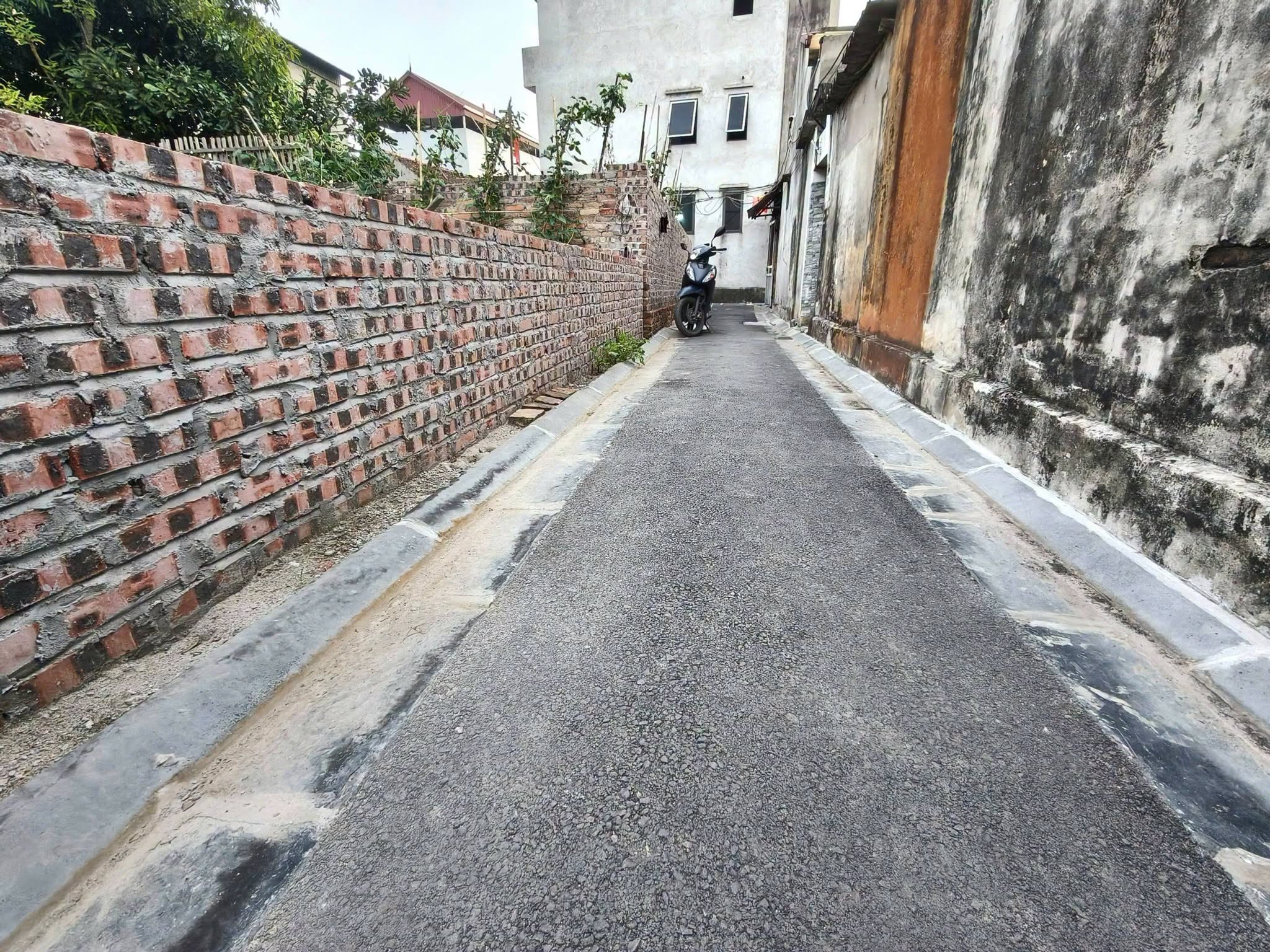 Đất không sổ, nằm trong dân, 180m2, mt15m, 2,65  tỷ, Thụy Lâm, Đông Anh.