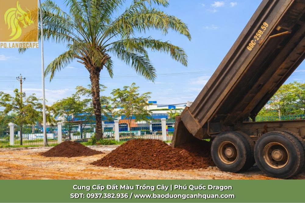 Cung cấp đất đỏ phù sa chất lượng - Giao hàng nhanh, giá tốt