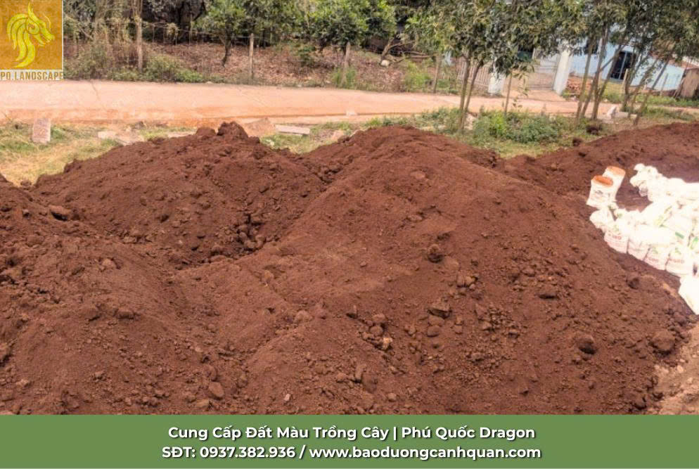 Cung cấp đất đỏ phù sa chất lượng - Giao hàng nhanh, giá tốt-1