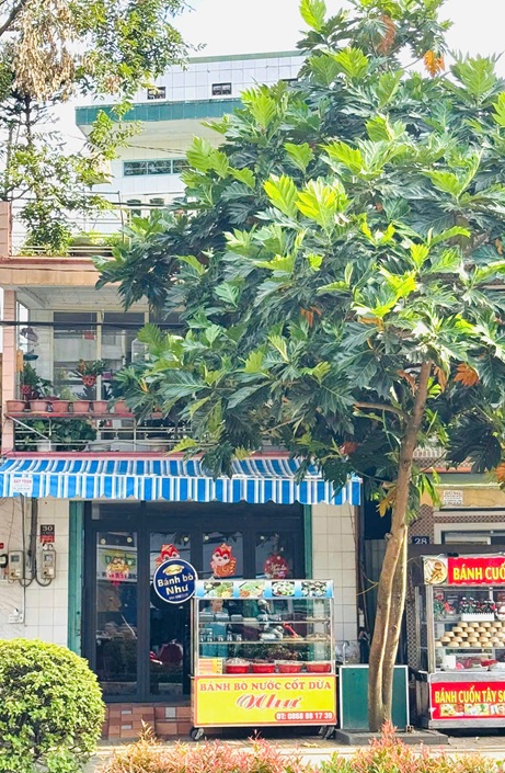 CHÍNH CHỦ CHUYỂN NHƯỢNG NHÀ MẶT TIỀN TRUNG TÂM TP. PLEIKU – VỊ TRÍ VÀNG Kinh Doanh-3
